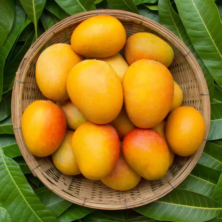 mango basket